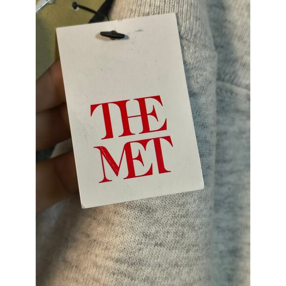 Champion Fighting Illinois Metro Museum of Art New Year Men's Gray Joggers - Picture 7 of 10